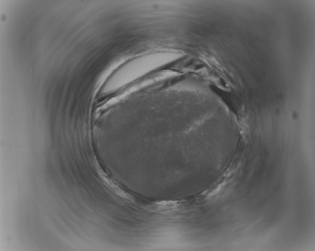 X0000076090052200610152328