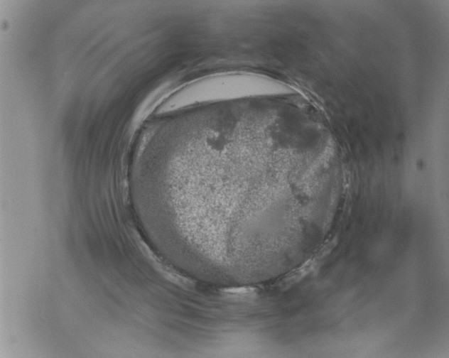 X0000076090053200610152328