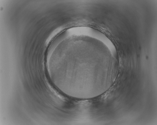 X0000076090054200610152328