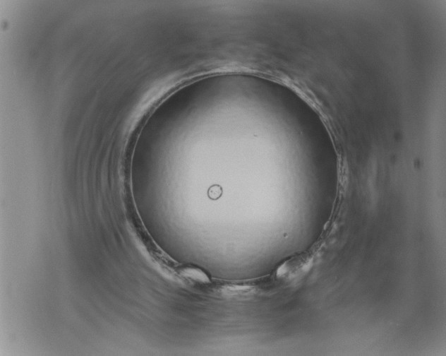 X0000076090055200610152328