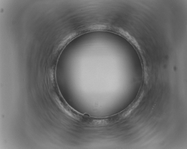 X0000076090057200610152328