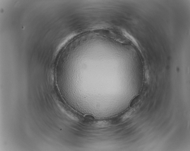 X0000076090059200610152329