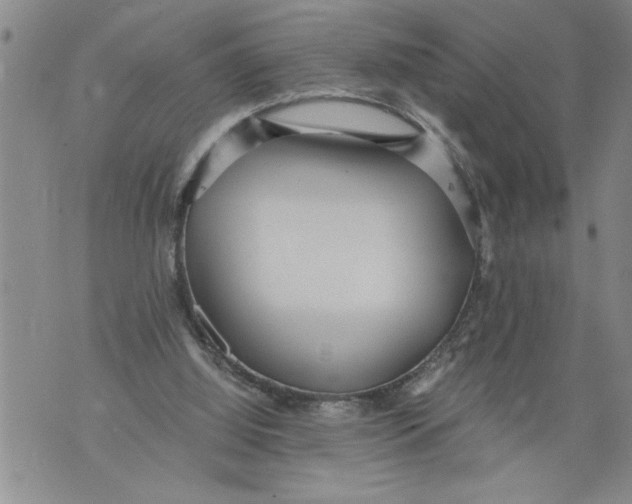 X0000076090060200610152329