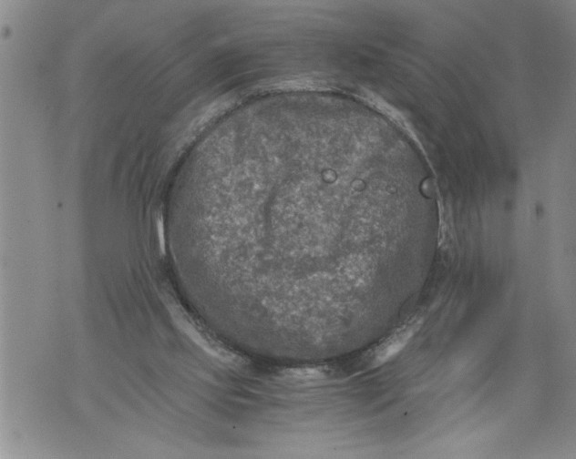 X0000076090061200610152329