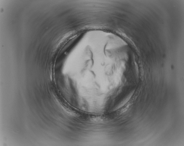 X0000076090062200610152329