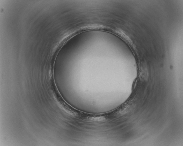 X0000076090063200610152329