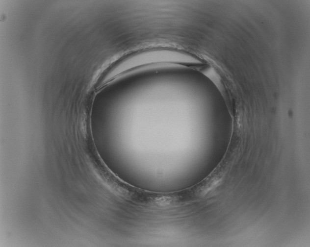 X0000076090064200610152329