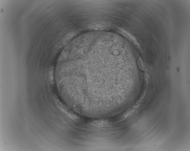 X0000076090065200610152329