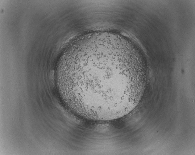 X0000076090066200610152329