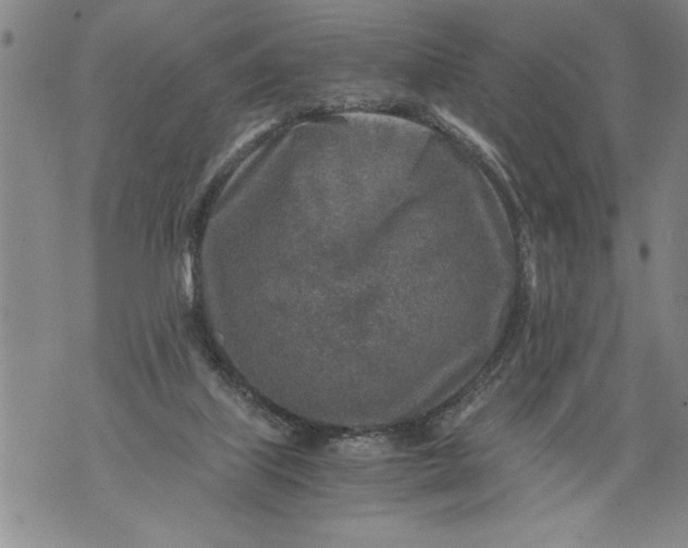 X0000076090067200610152329