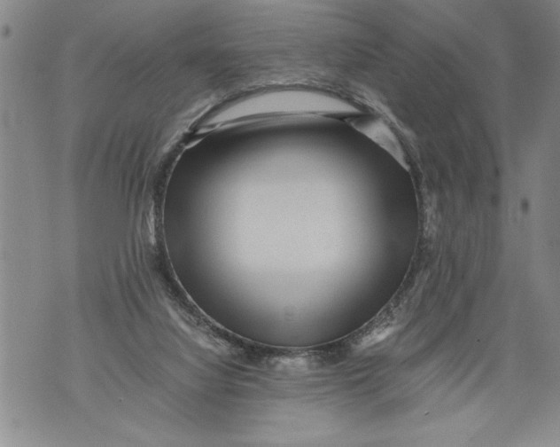 X0000076090068200610152329