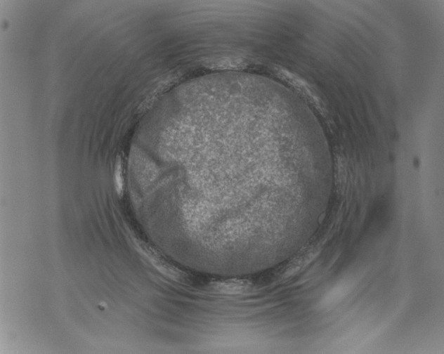 X0000076090069200610152329