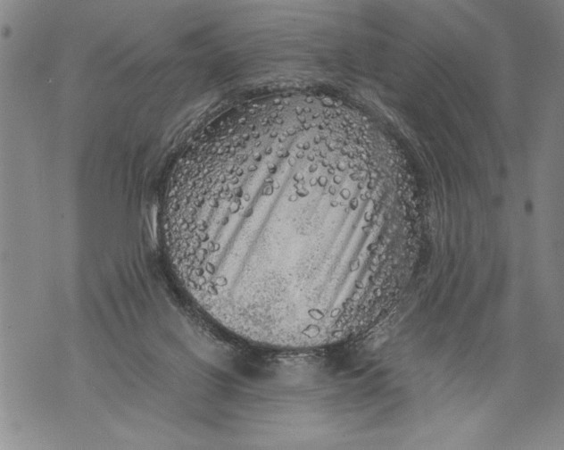 X0000076090070200610152329