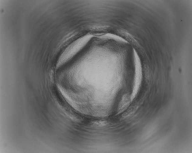 X0000076090071200610152329