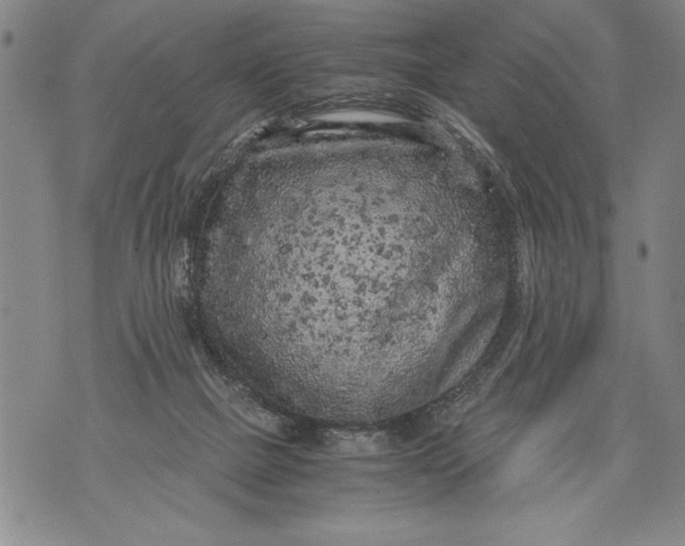 X0000076090073200610152329