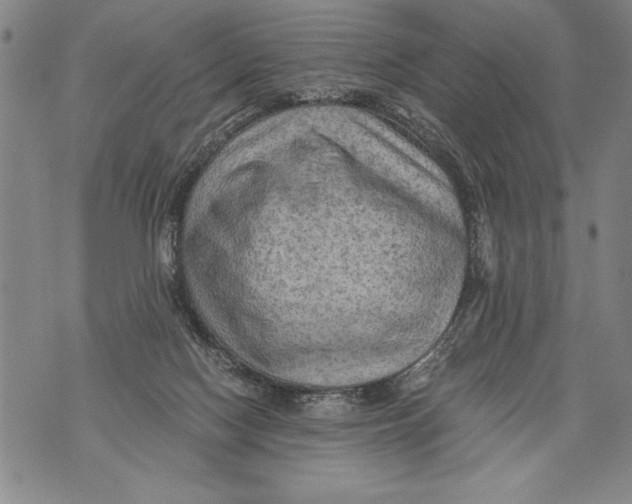 X0000076090074200610152329