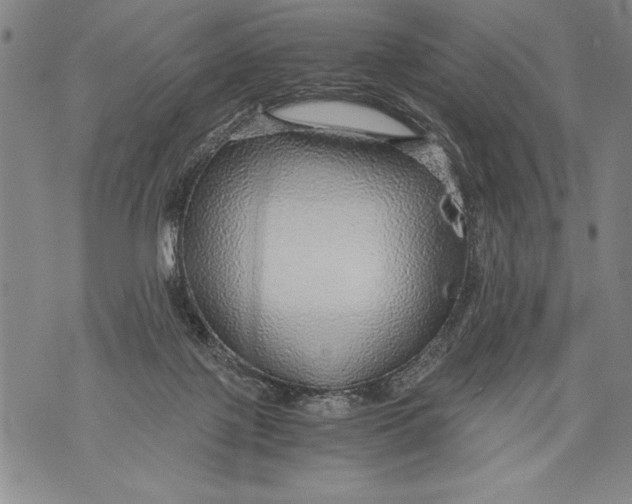 X0000076090075200610152329