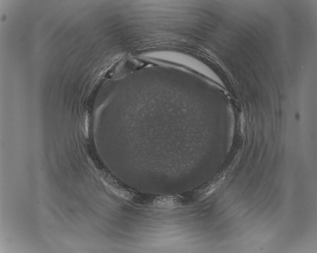 X0000076090076200610152329