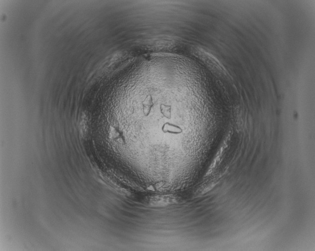 X0000076090077200610152329