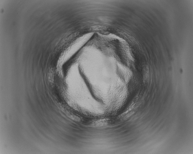 X0000076090078200610152329