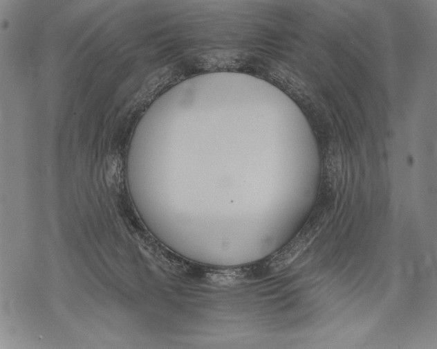 X0000076090079200610152329