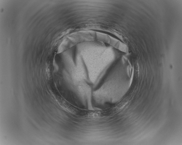 X0000076090080200610152329