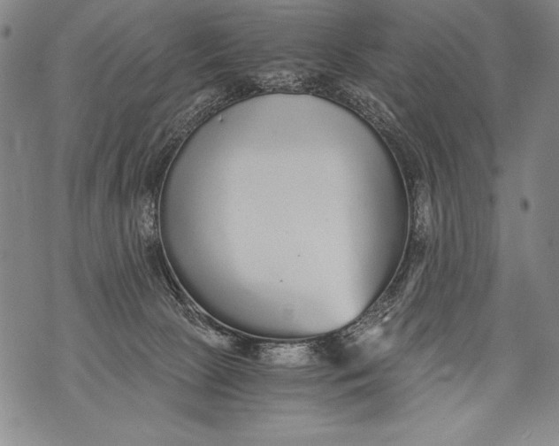 X0000076090081200610152329