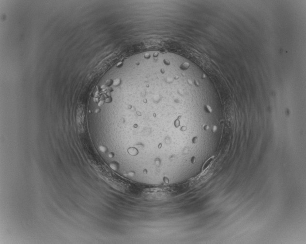 X0000076090082200610152329