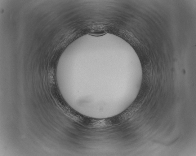 X0000076090083200610152329