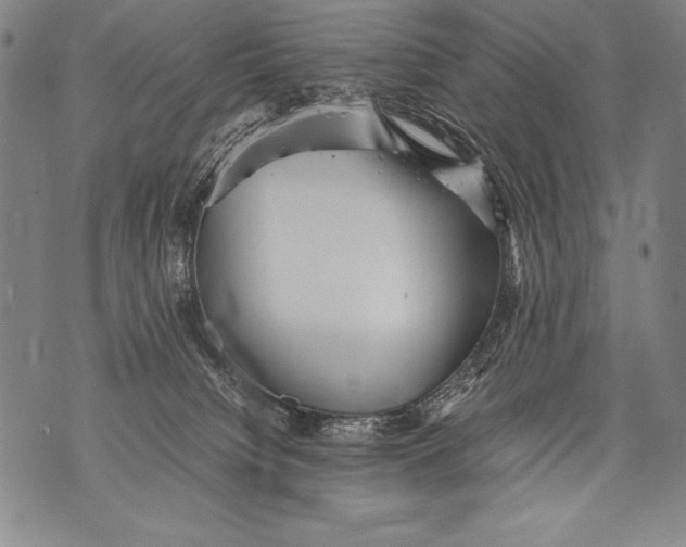 X0000076090084200610152329