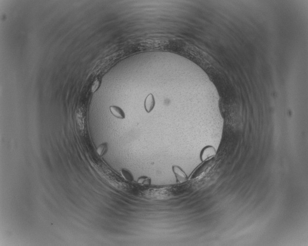 X0000076090086200610152329