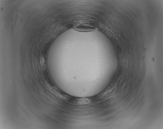 X0000076090087200610152329