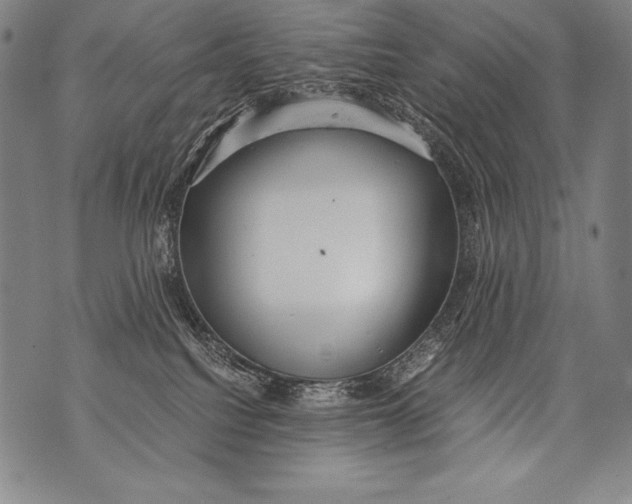 X0000076090088200610152329