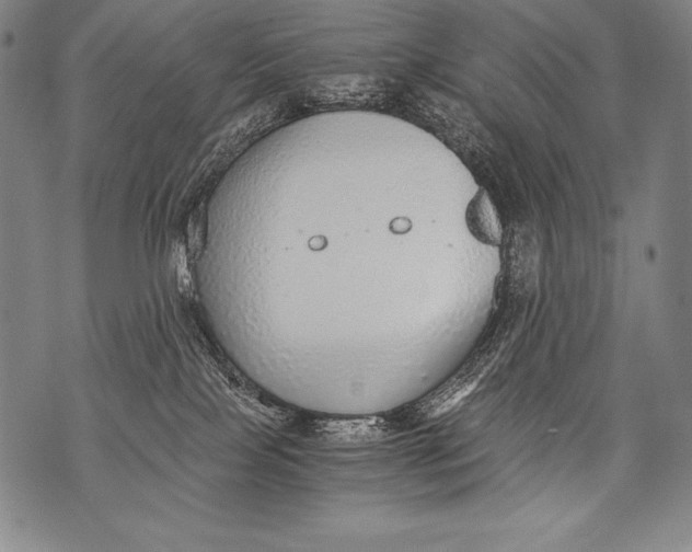 X0000076090089200610152329