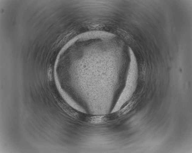 X0000076090090200610152329