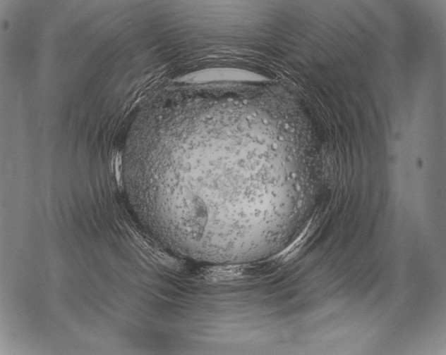 X0000076090094200610152329