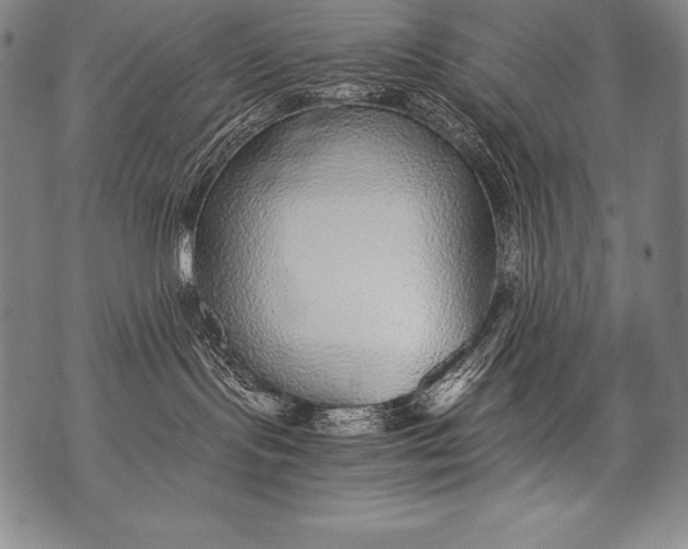 X0000076090095200610152329