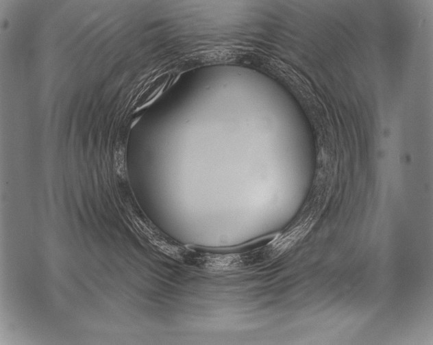 X0000076090096200610152329