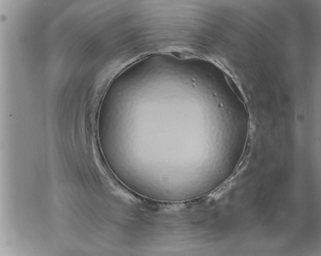 X0000076090097200610152328