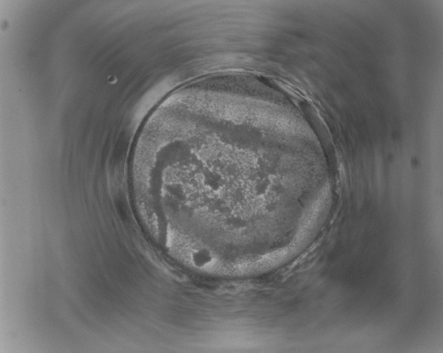 X0000076090099200610152328