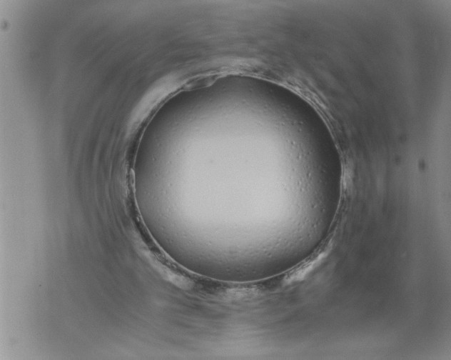 X0000076090101200610152328