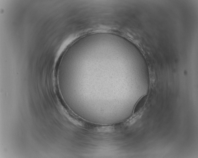 X0000076090102200610152328