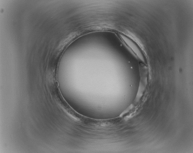 X0000076090105200610152328