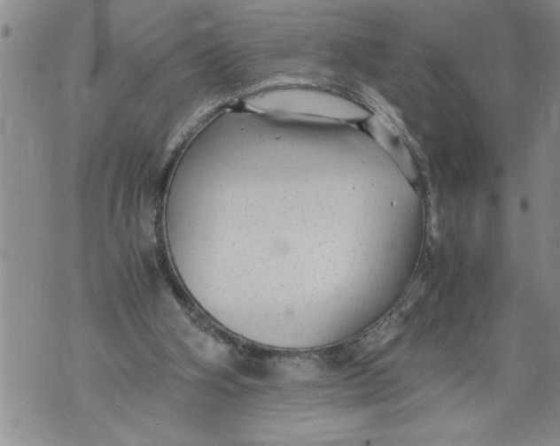 X0000076090106200610152328