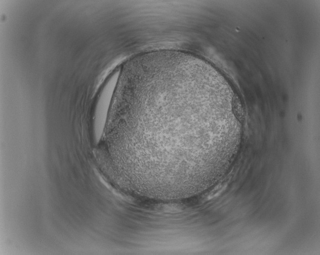 X0000076090107200610152328