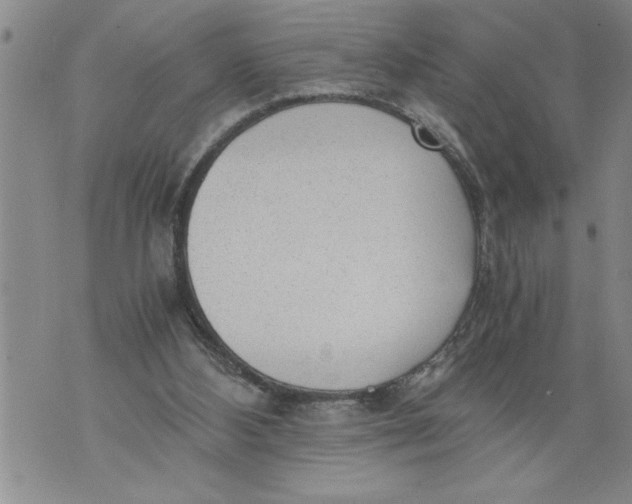 X0000076090108200610152328