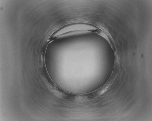 X0000076090109200610152328