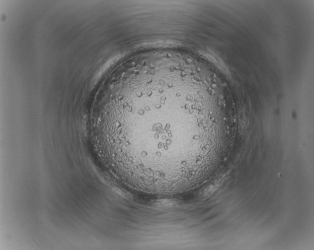 X0000076090111200610152328