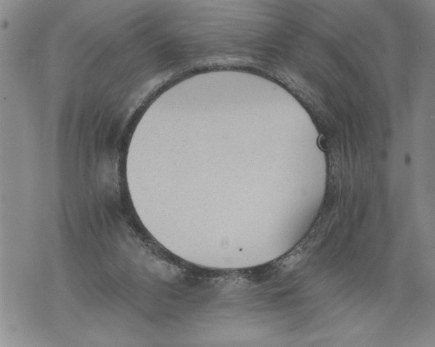 X0000076090112200610152328