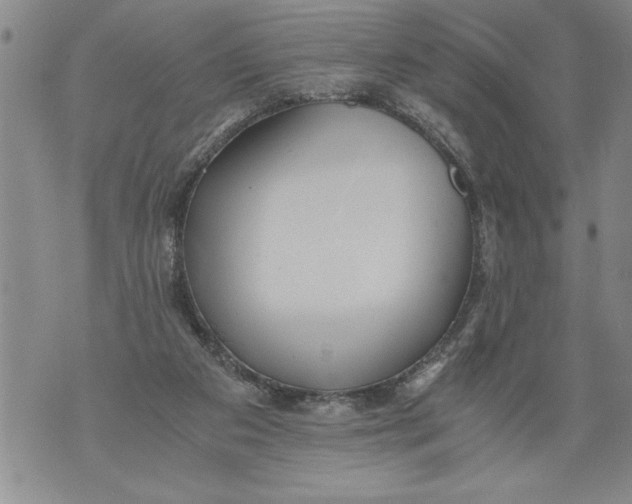 X0000076090113200610152328